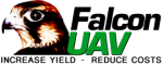 Falcon UAV