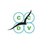 Central Coast Drone Video